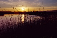 The Delta at sunset.