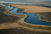 Delta aerial