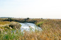 View of the Tule Red Project site in Solano County.