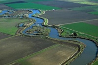 San Joaquin Delta