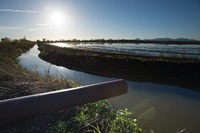 Groundwater irrigation for a rice field in the agriculture region of Yuba County east of Marysville, California.